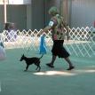 Cloe and I @ the Gridley AKC show June, 2012